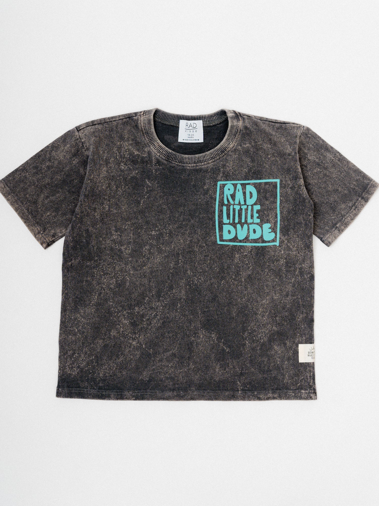 Little Dude T-shirt