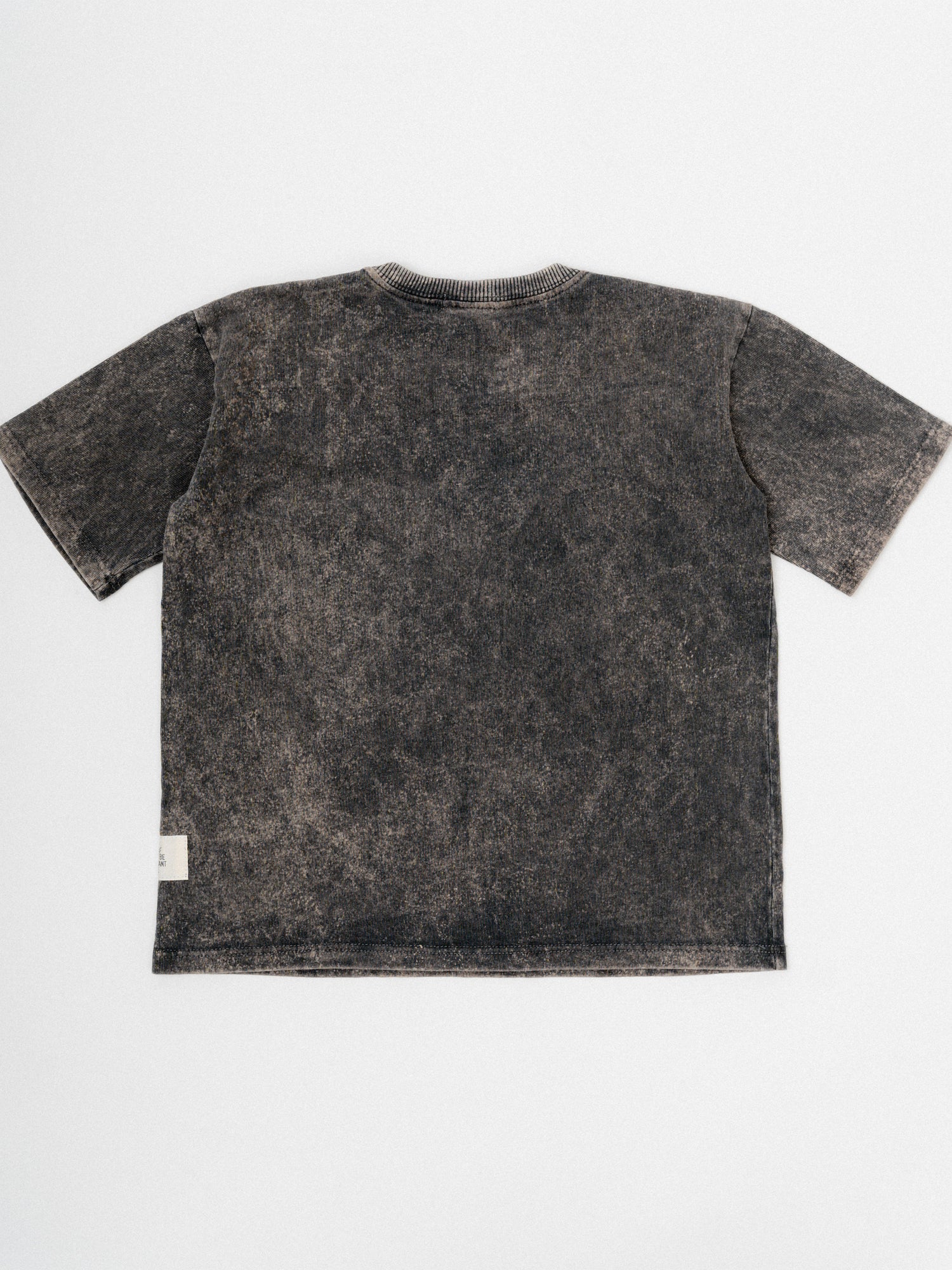 Little Dude T-shirt